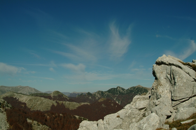 Sculture naturali